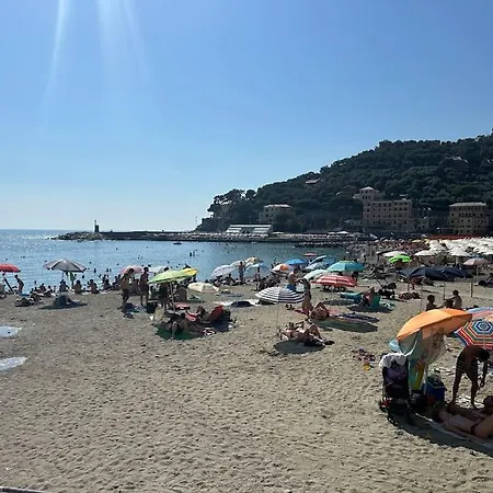 Casa Natalina