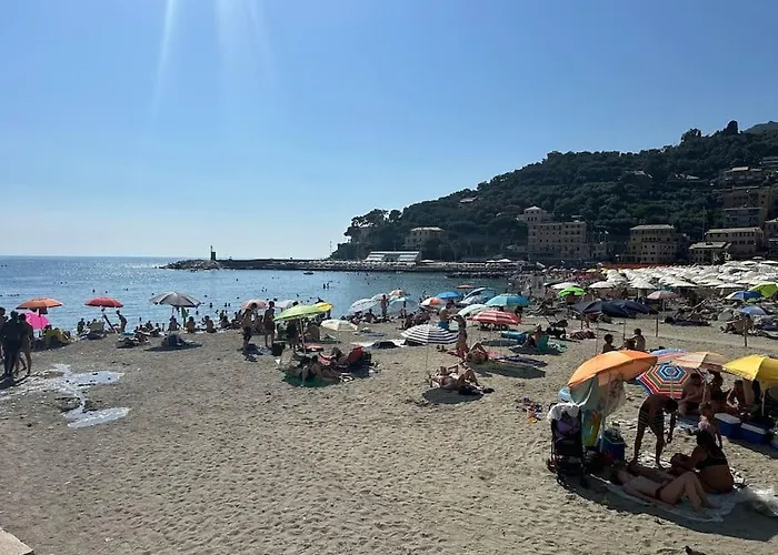 Casa Natalina